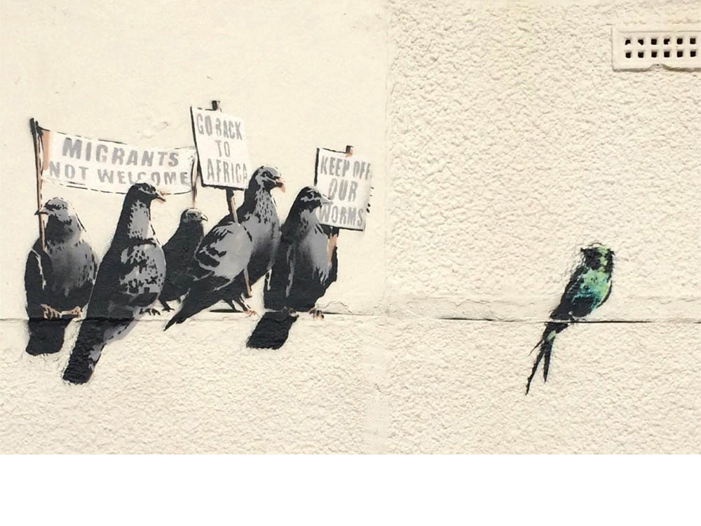 Birds Get Off Our Line
